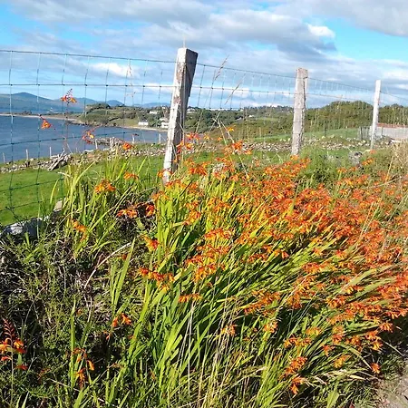 Apartament Westland No. 2