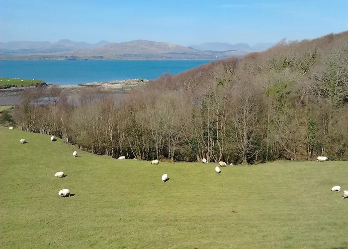 Westland No. 2 Ardea