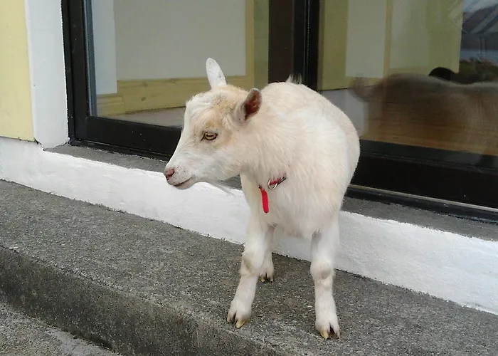 Westland No. 2 Апартаменты