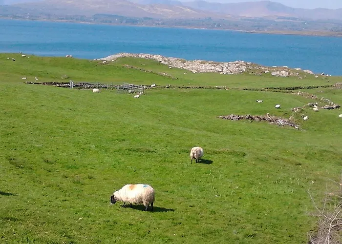 Апартаменты Westland No. 2 *